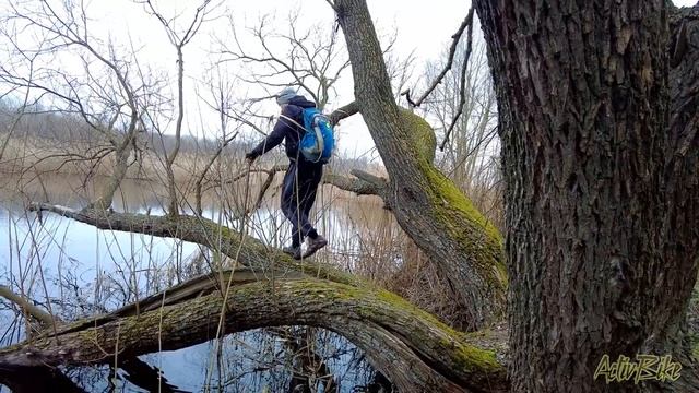 Ищем правду, а правды вовсе нет - 1.04.2023 смотреть онлайн