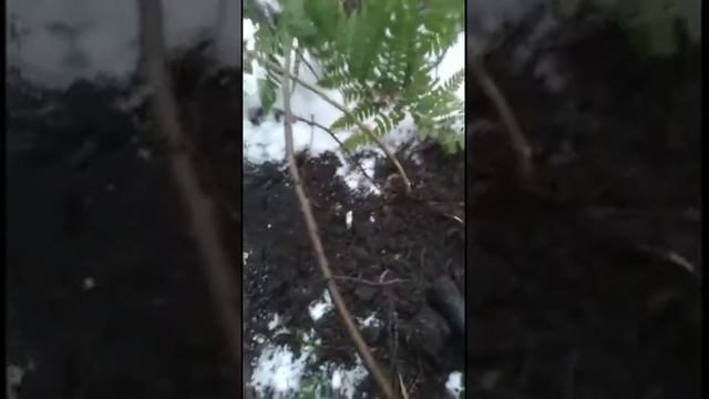 Назад в СССР смотреть онлайн