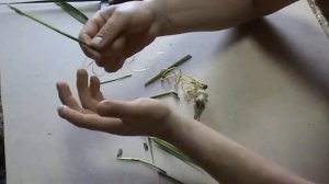 Ловля амура на камыш в речке, озере или канале (АМУР ЛОВИТСЯ, ТОЛЬКО НА КАМЫШИ!)