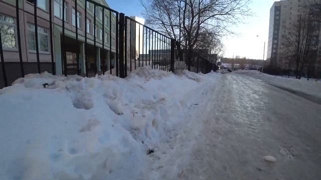 Москва засранная. Собачье дерьмо, мусор, неработающие законы. САО - Дмитровский район. смотреть онлайн