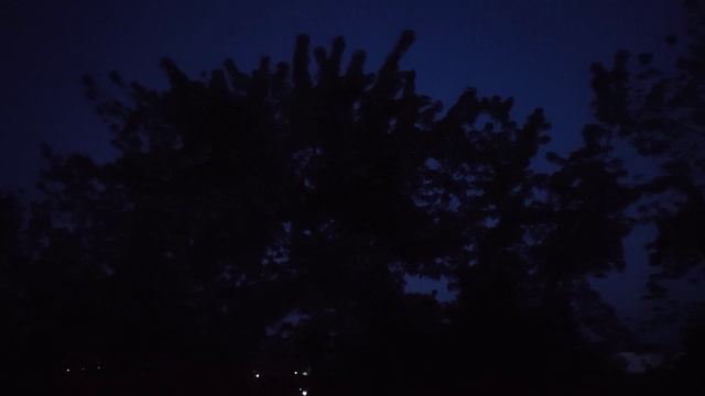 Утро 4 ч. Рассвет. Пение птиц в большом городе, не всегда можно услышать. НО слушала бы бесконечно. смотреть онлайн