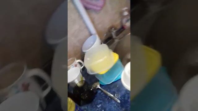 худеем вместе необычная запеканка к новогоднем столу смотреть онлайн