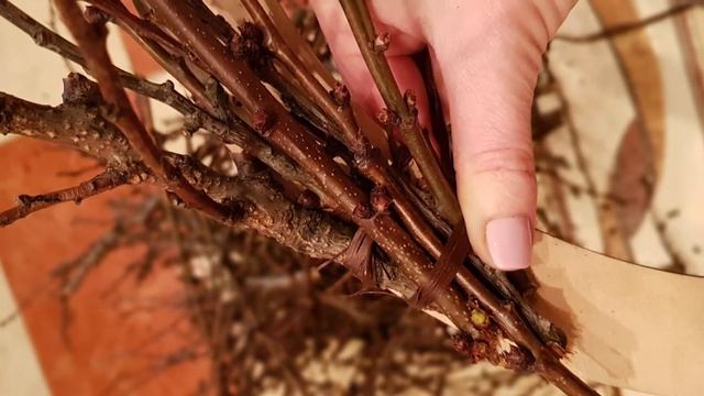 Весенний венок из ветвей абрикоса. Spring wreath смотреть онлайн