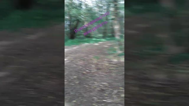 я не знаю что мне делать . закулисье часть 4 . 5 часть завтра не пропусти смотреть онлайн