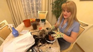 МАК. ВЫРАЩИВАНИЕ И УХОД