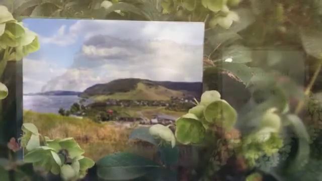 Самарская Лука смотреть онлайн