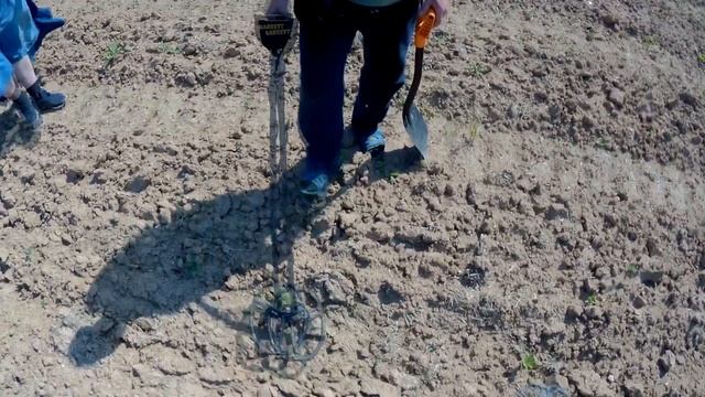 Отличный коп в поле у деревни Захарово.Ещё два дня с Фортуна Про2 смотреть онлайн