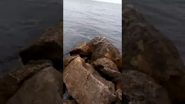 Ловля бычка на Азовском море Щелкино крым смотреть онлайн