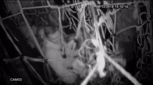 ВДНХ Комната страха в Москве