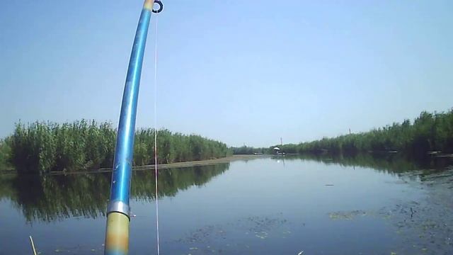 ŞƏRBƏT BOZQOBUDA SAZAN OVU / SINIQ KÖRPÜDƏ SAZAN OVU смотреть онлайн