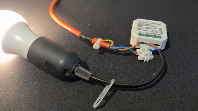 Tuya Zigbee Switch Module QS-Zigbee-S05-L Defect