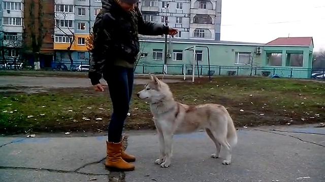 Биби, тренировка. Часть 1 смотреть онлайн