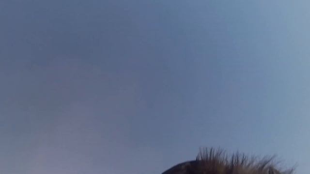 Рыбалка с ночёвкой в сильный мороз 😱🥶-38-40 градусов. смотреть онлайн