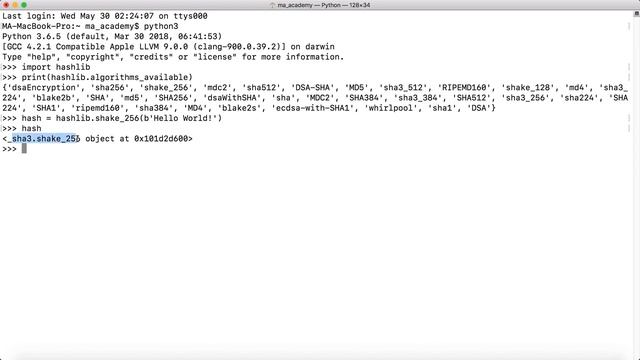 Hashing with Shake Algorithm Variable Length Digests using Python - Cryptography with Python смотреть онлайн