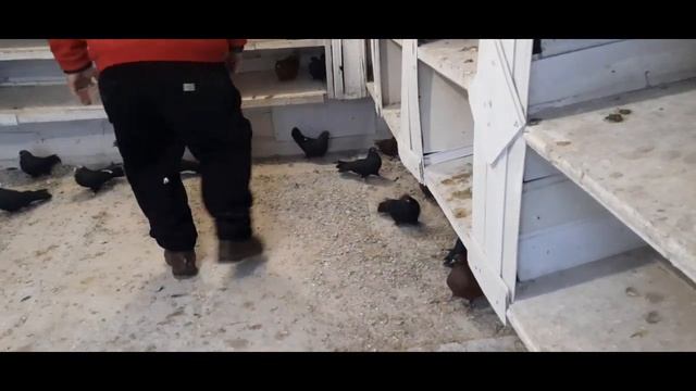 С Рождественским Сочельником смотреть онлайн