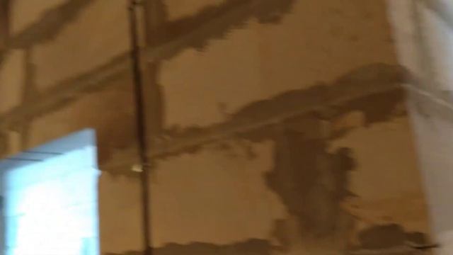 у нас -25 морозы почти без снега . кошки в доме. смотреть онлайн