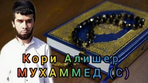 Кори Алишер