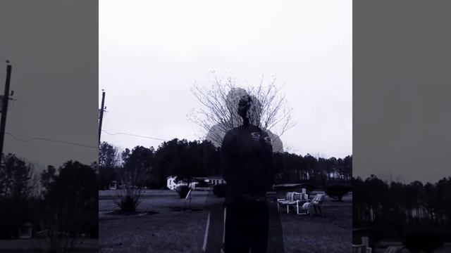 GREY FREESTYLE FHB CECIL смотреть онлайн