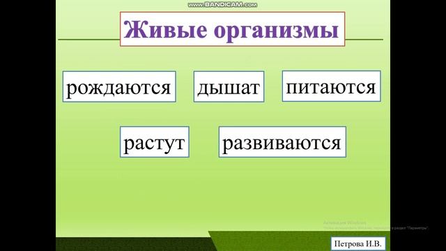 "Человек и его организм". Часть 1. Урок по природоведению для 3 класса смотреть онлайн