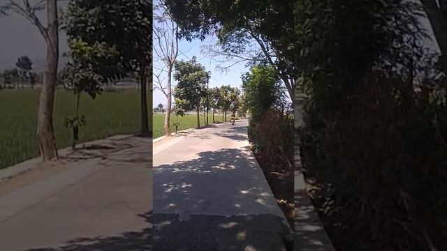 Nyeting jupe speek 115 harian смотреть онлайн