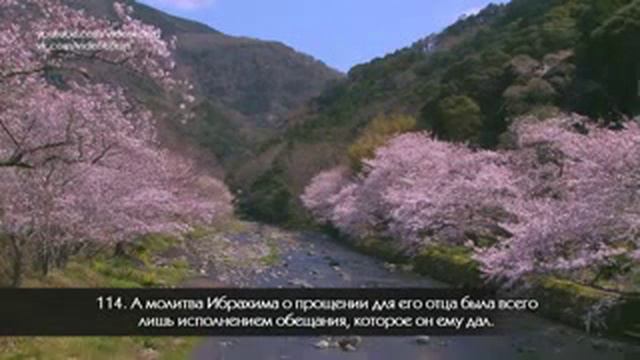 Очень красивое чтение священного корана смотреть онлайн