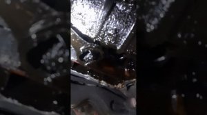 промывка поддона Шкода Рапид