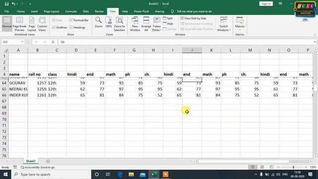 How to Use View Tab in MS Excel in Hindi | 2007 | 2010 | 2013 | 2016 | 2019 смотреть онлайн