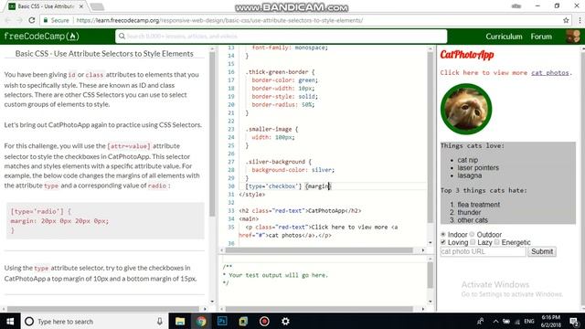 Basic CSS Use Attribute Selectors to Style Elements free code camp Dani смотреть онлайн