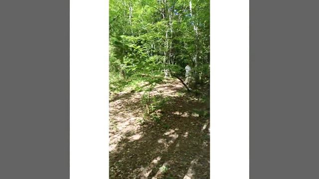 Путешествие в Чернореченский каньон Крыма смотреть онлайн