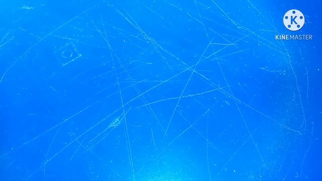 Бушен дракон сборка смотреть онлайн