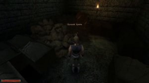 ?ТОПОВЫЙ Меч В НАЧАЛЕ Игры Gothic 1⚡Готика 1 Оружие В Начала Игры ч2