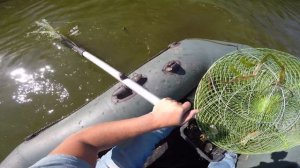 ЛОВЛЯ РАКА на РАКОЛОВКИ в период ЛИНЬКИ. КАКУЮ приманку ИСПОЛЬЗОВАТЬ и где его ИСКАТЬ.