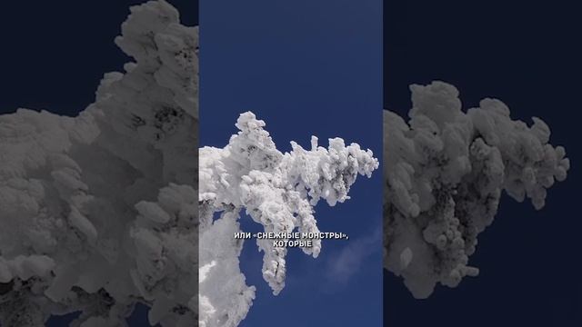 Самые красивые места Японии #shorts смотреть онлайн