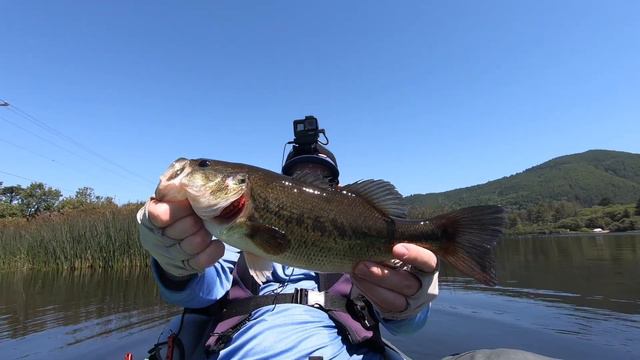 Oregon Coast Bass Fishing (Found Them with Googan Worms!) смотреть онлайн