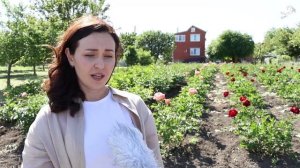 Цветочная ферма