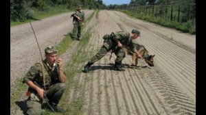 пограничные войска