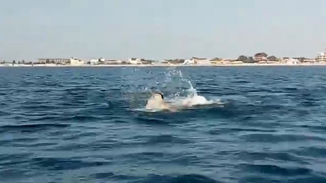 ЭТО Я НА МОРЕ)))))))))))!!!!!!! КРЫМ ONE LOVE смотреть онлайн