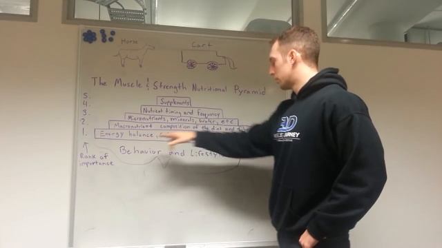 Part 1: Introducing the Pyramid and Level 1 - Calories смотреть онлайн