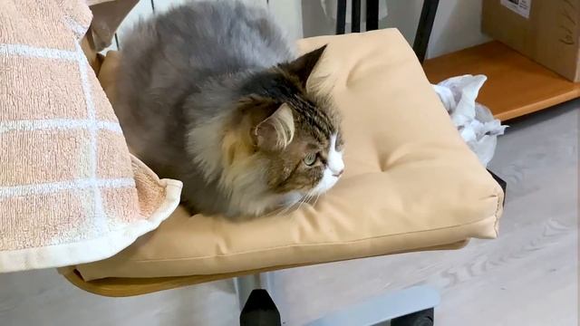 ПЫТАЮСЬ сделать КУДРИ как в 80-х ✨? смотреть онлайн