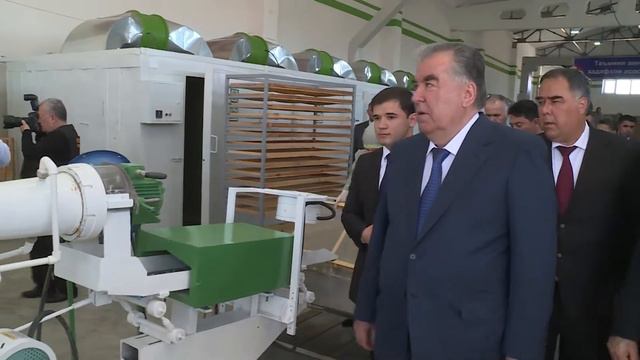 ООО "Орди фатир" производство муки и мучных изделий в Таджикистане смотреть онлайн