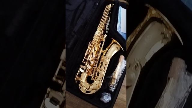 Sax alto 🎷Yamaha yas-280 mib novo, original 🎷preço mais baixo do mercado🎷jcs Inst 🎷ZAP 16993396163🎷 смотреть онлайн