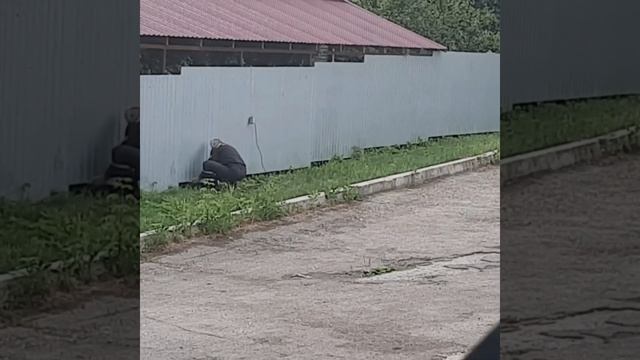 Хозяин частного дома . Замеряет свой забор рулеткой. Чтобы закрыть щели в низу забора.Саратов. смотреть онлайн