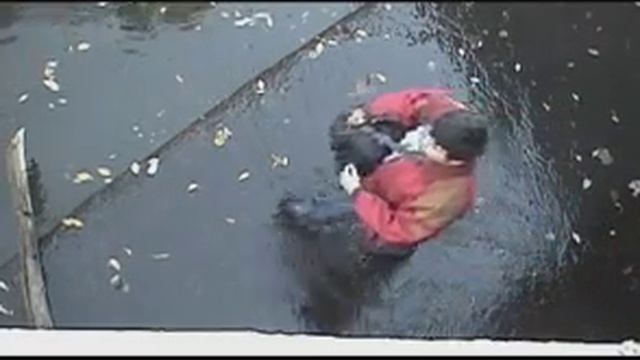 The Hangman's Noose смотреть онлайн