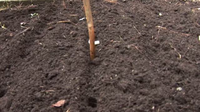 Лучше поздно ,чем весной! смотреть онлайн