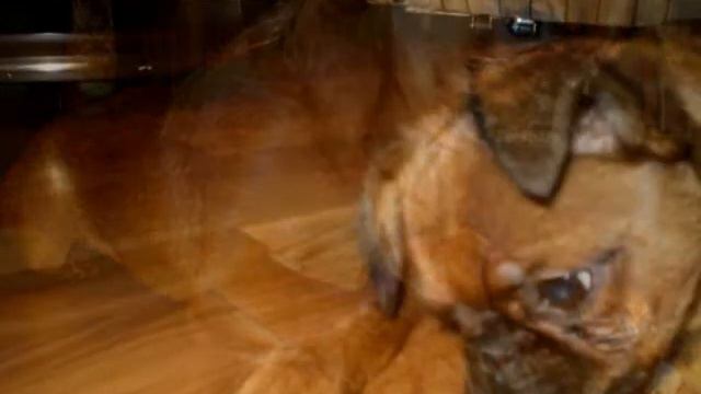 АТОС-БРАБАНСОН смотреть онлайн