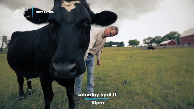 Barn Sanctuary - Saved by the Barn TV Show Trailer