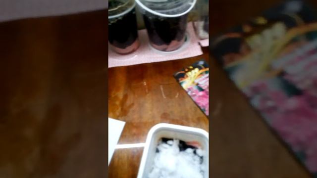 посев семян Дельфиниума продолжение смотреть онлайн