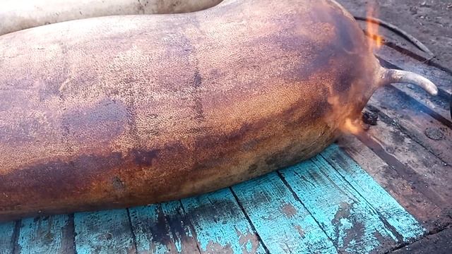 ///Как заколоть и зачернить Свиней Новичку!! смотреть онлайн