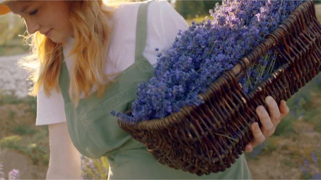Техника – Ангельская Пластика Тела смотреть онлайн