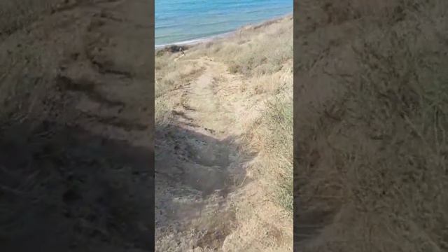 тамань, таманский полуостров, чёрное море, краснодарский край, азовское море, таманский залив смотреть онлайн